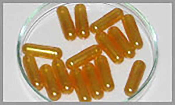 hpmc capsules